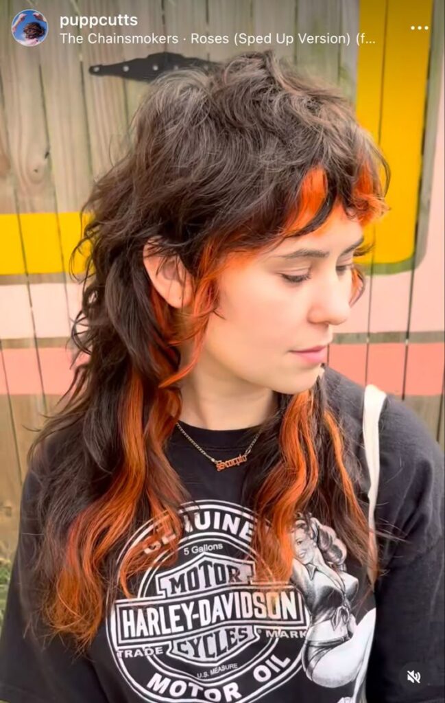 Mullet Colorido com Mechas em Destaque